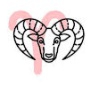 aries